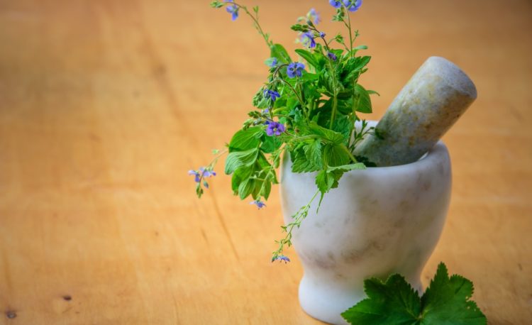 Décorez votre entrée avec des plantes : cela donnera à votre espace une touche de fraîcheur et de vie.